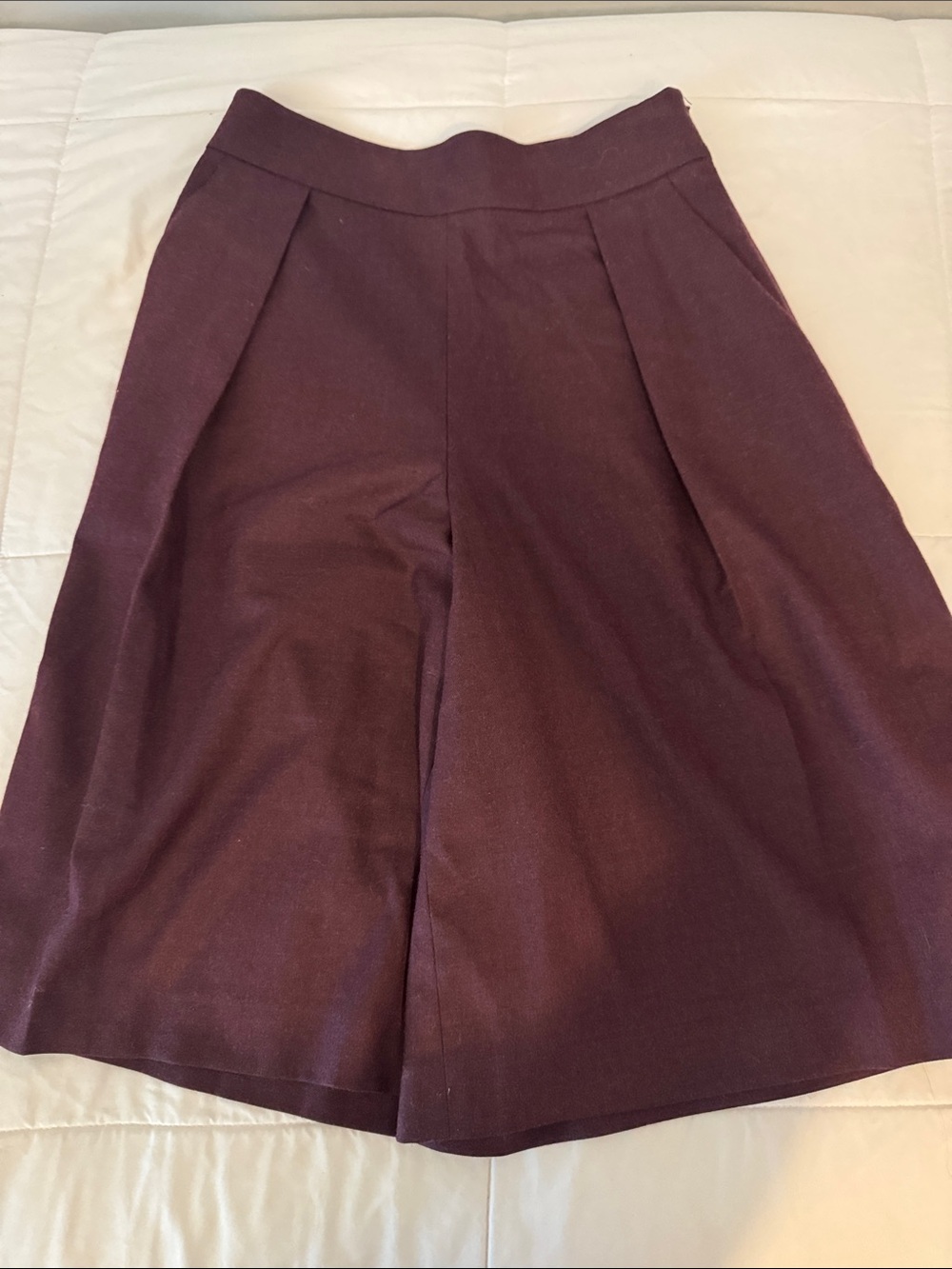 Club Monaco Plum culotte pants